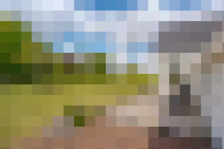 Oudeweg 47 Nuis thumbnail 42