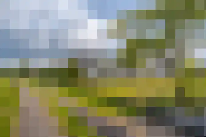 Oudeweg 47 Nuis thumbnail 5