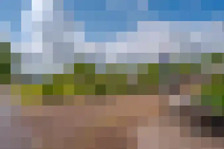 Oudeweg 47 Nuis thumbnail 50