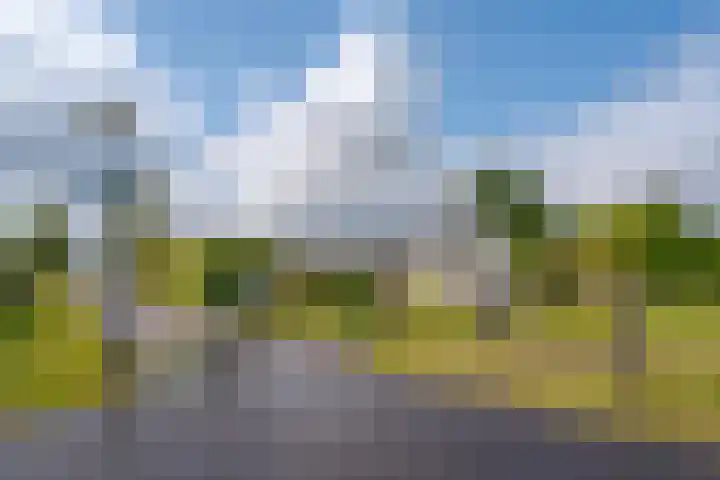 Oudeweg 47 Nuis thumbnail 7
