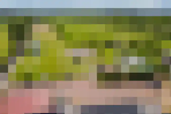 Oudeweg 47 Nuis thumbnail 70