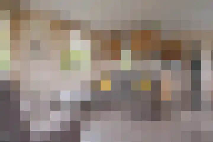 Oudeweg 47 Nuis thumbnail 75