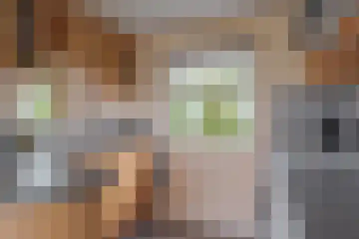 Oudeweg 47 Nuis thumbnail 78