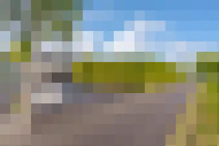 Oudeweg 47 Nuis thumbnail 8
