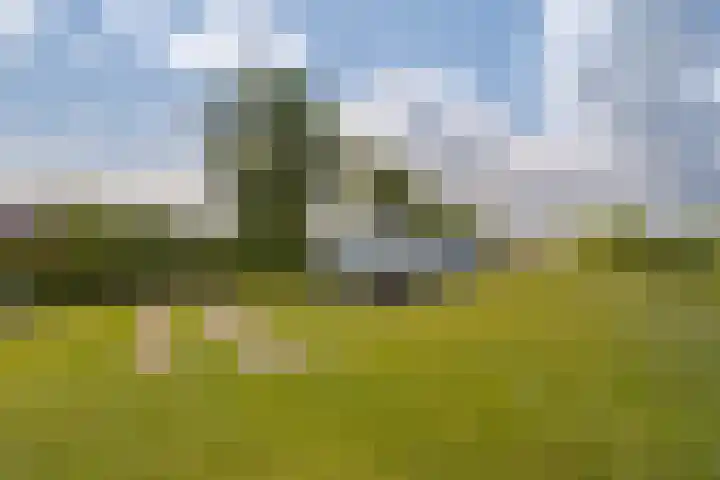 Oudeweg 47 Nuis thumbnail 86
