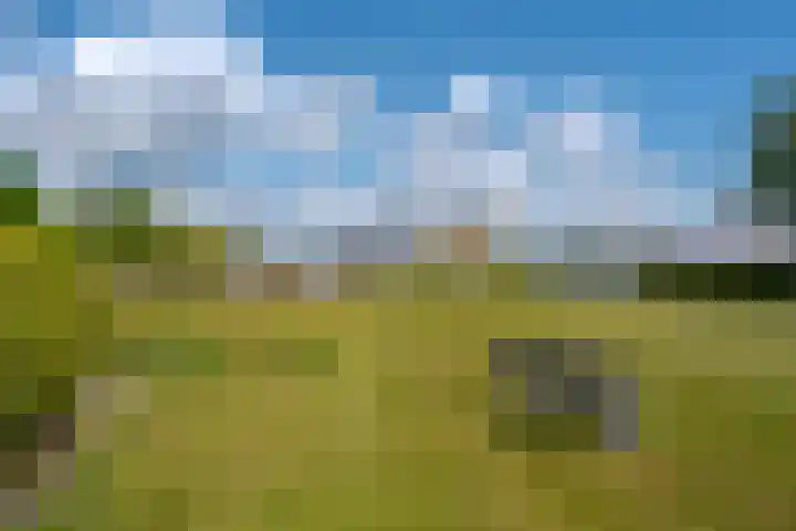 Oudeweg 47 Nuis thumbnail 87