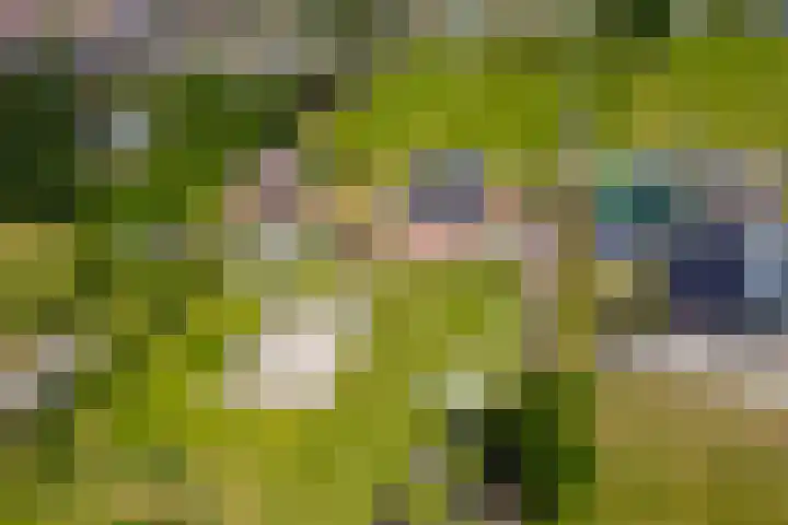 Oudeweg 47 Nuis thumbnail 88