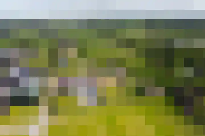Oudeweg 47 Nuis thumbnail 89