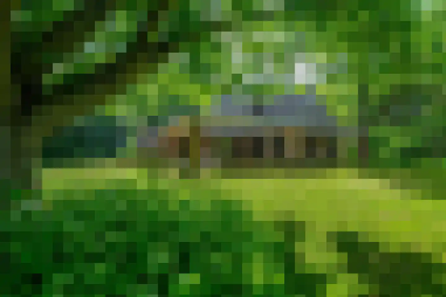Oudeweg 60 Westerbroek thumbnail 4