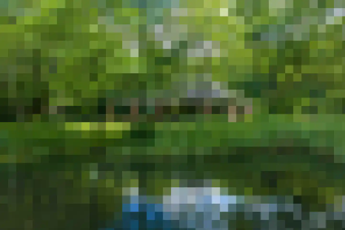 Oudeweg 60 Westerbroek thumbnail 5