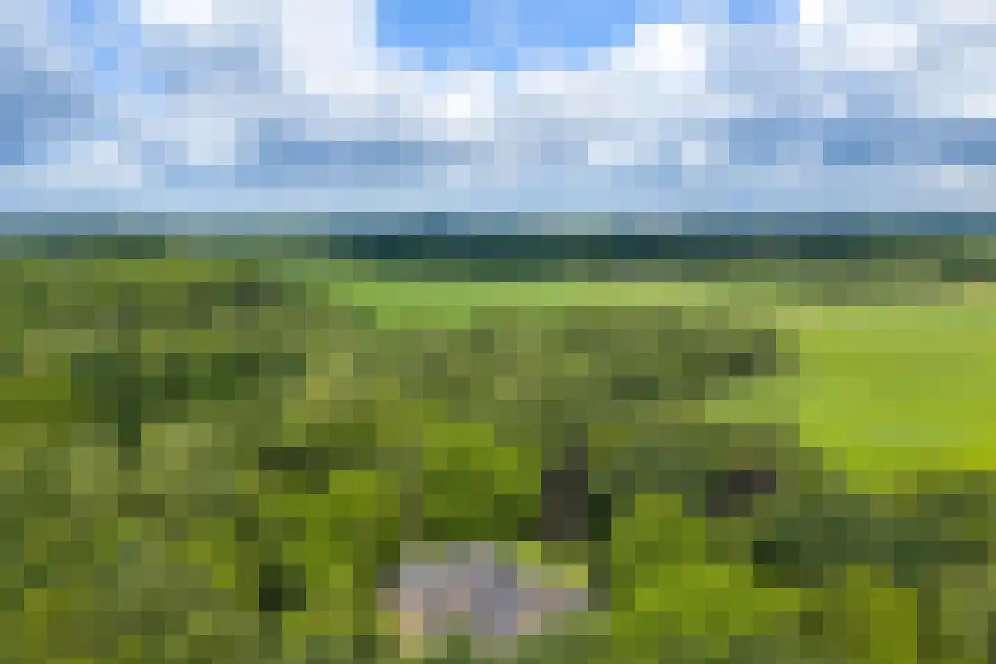 Oudeweg 60 Westerbroek thumbnail 61