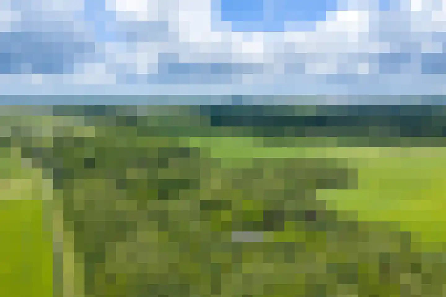 Oudeweg 60 Westerbroek thumbnail 8