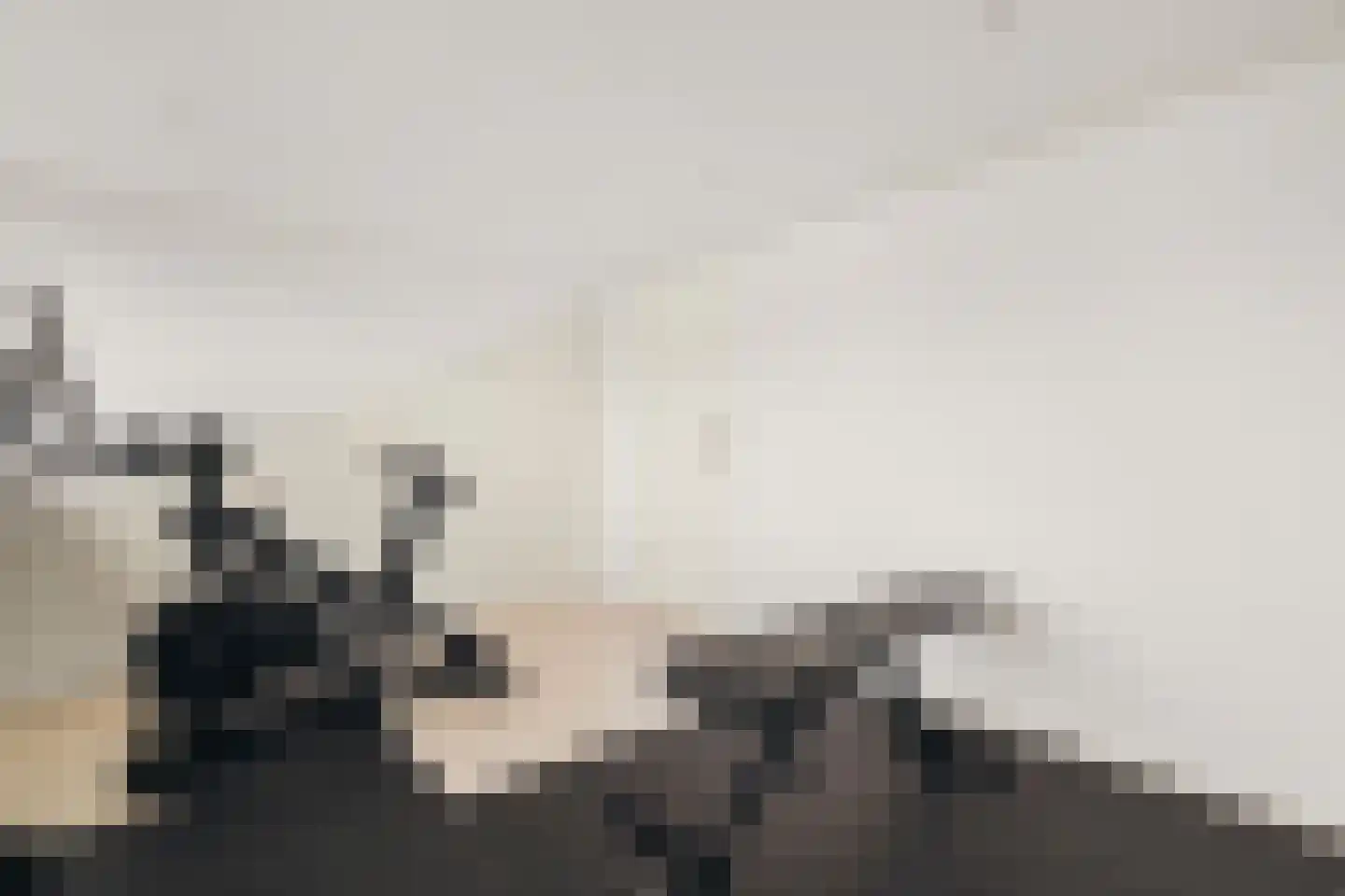 Oudeweg 63 Haarlem thumbnail 35