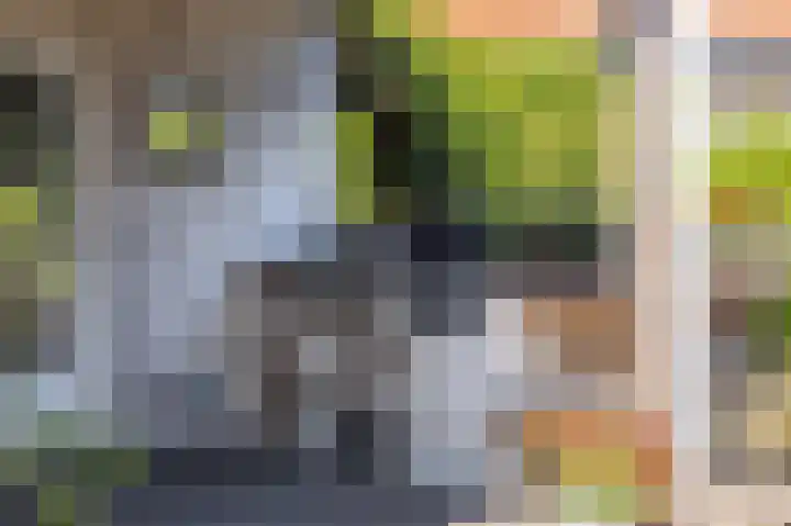 Oudeweg 63 Siddeburen thumbnail 37