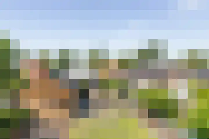 Oudeweg 63 Siddeburen thumbnail 43