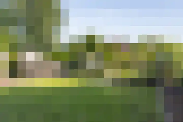 Oudeweg 63 Siddeburen thumbnail 44