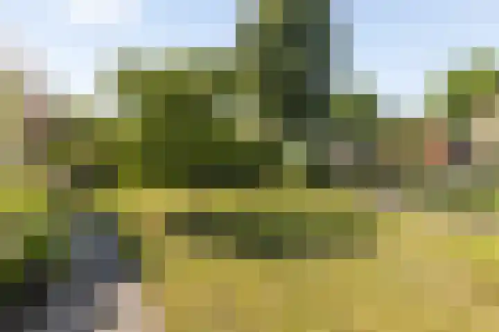 Oudeweg 63 Siddeburen thumbnail 46