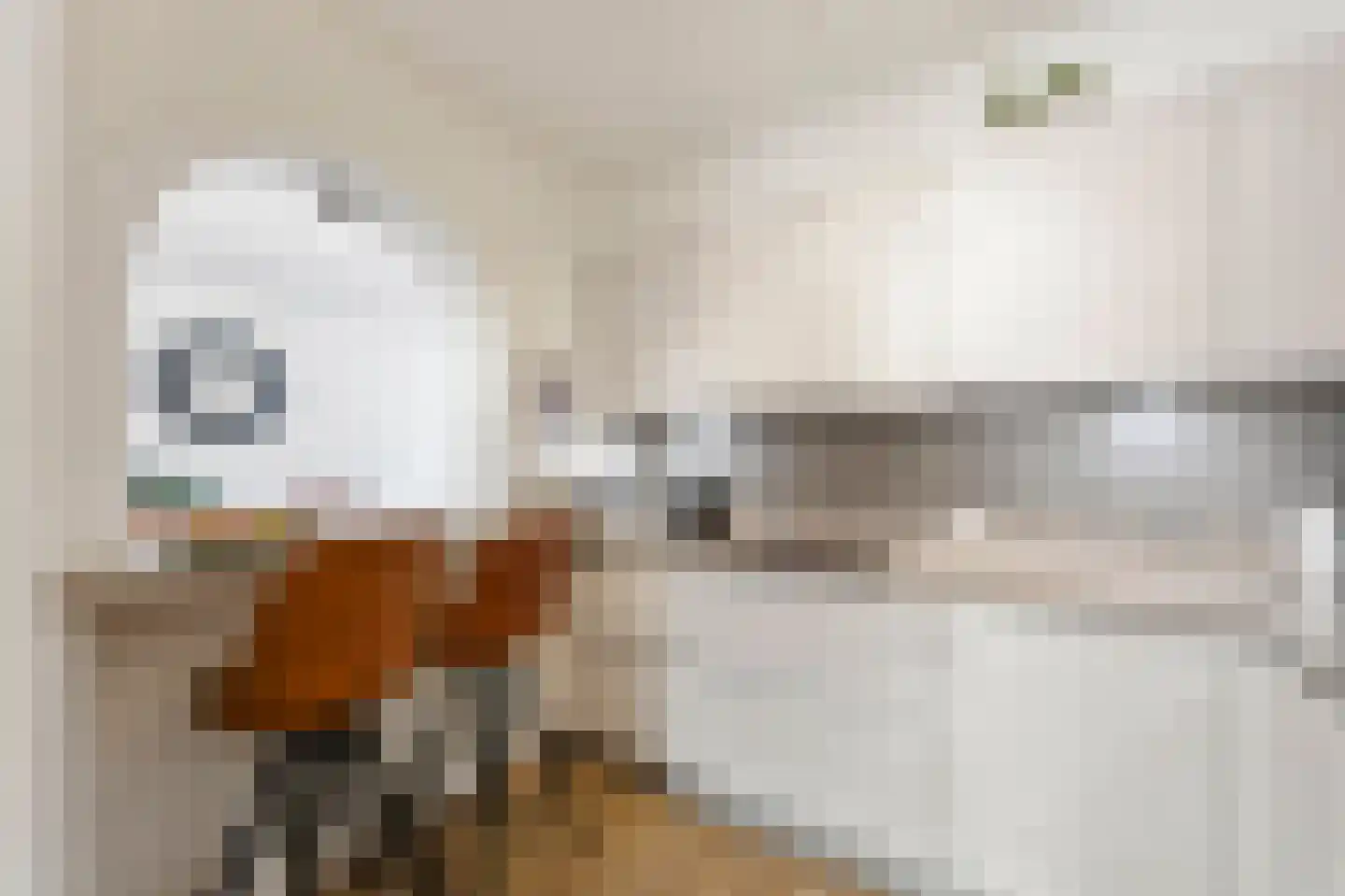 Oudeweg 64 Linne thumbnail 14