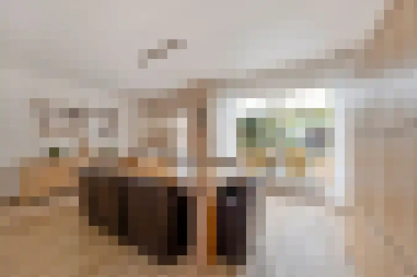 Oudeweg 64 Linne thumbnail 17