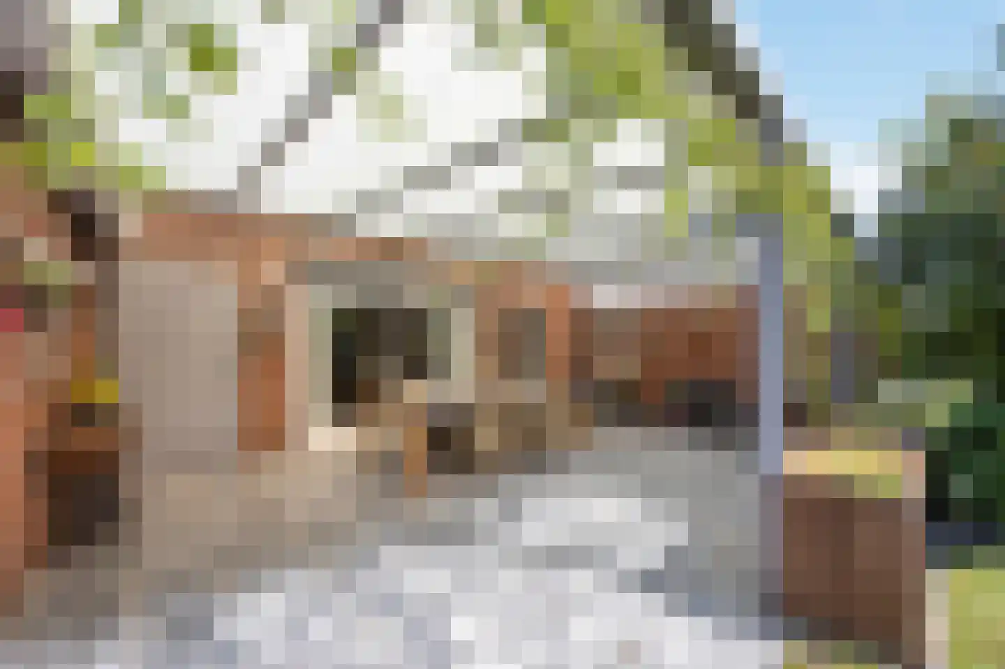 Oudeweg 64 Linne thumbnail 18