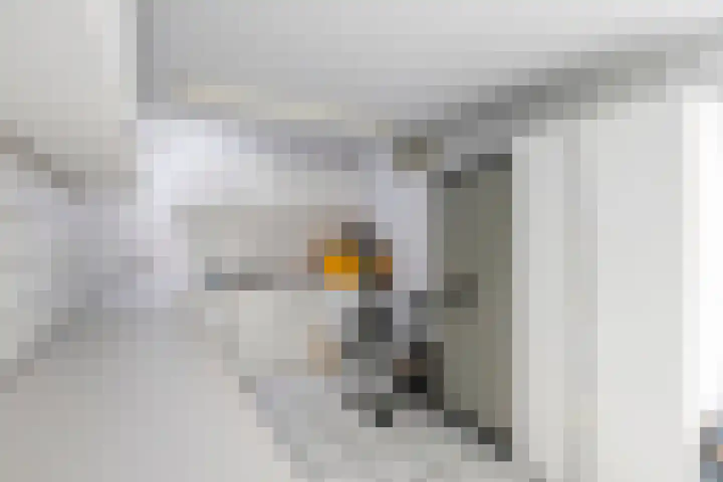 Oudeweg 64 Linne thumbnail 19