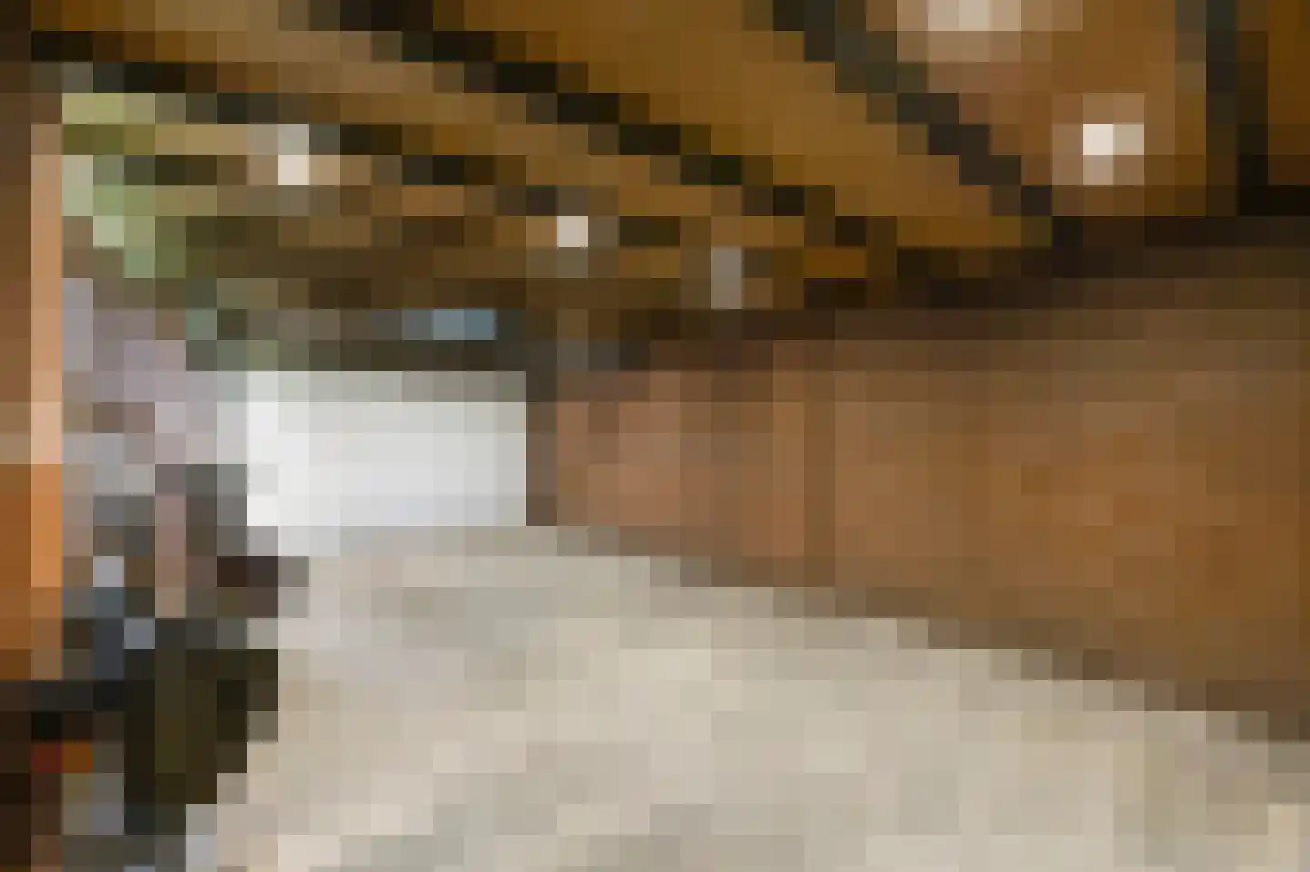 Oudeweg 64 Linne thumbnail 20