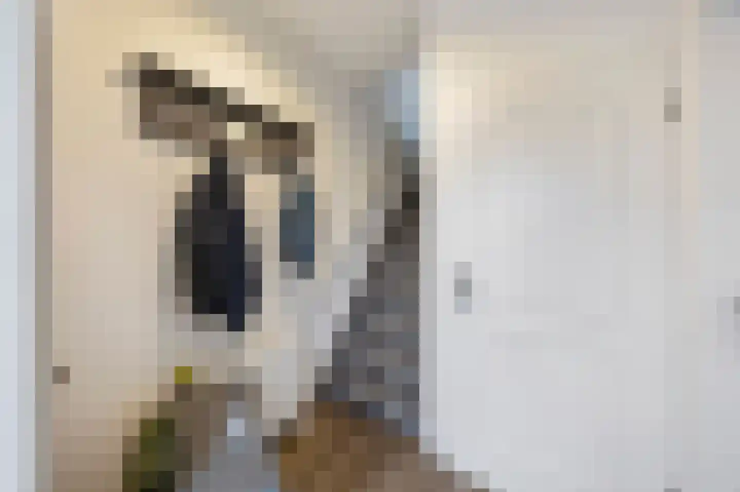 Oudeweg 64 Linne thumbnail 22