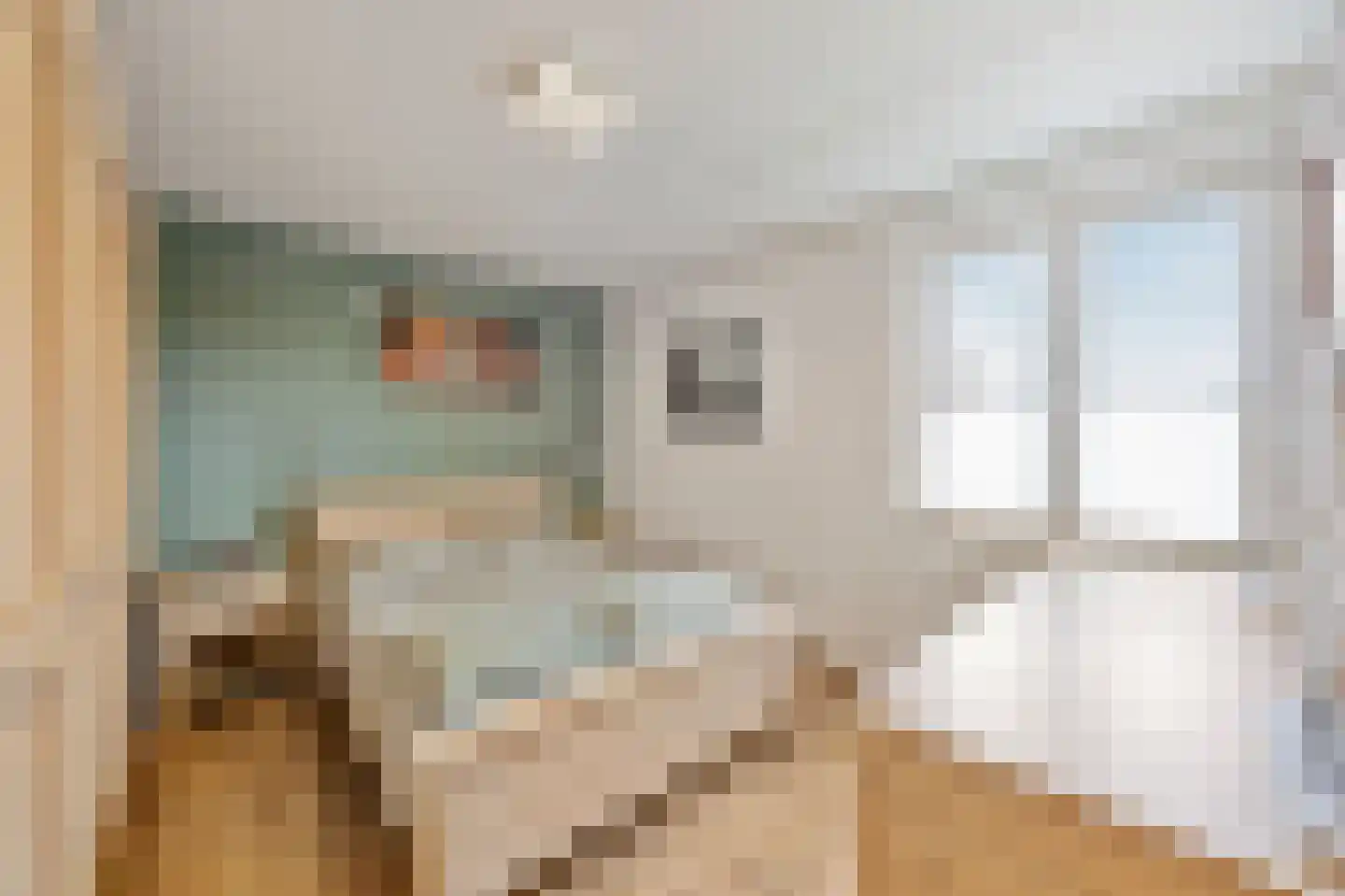 Oudeweg 64 Linne thumbnail 23