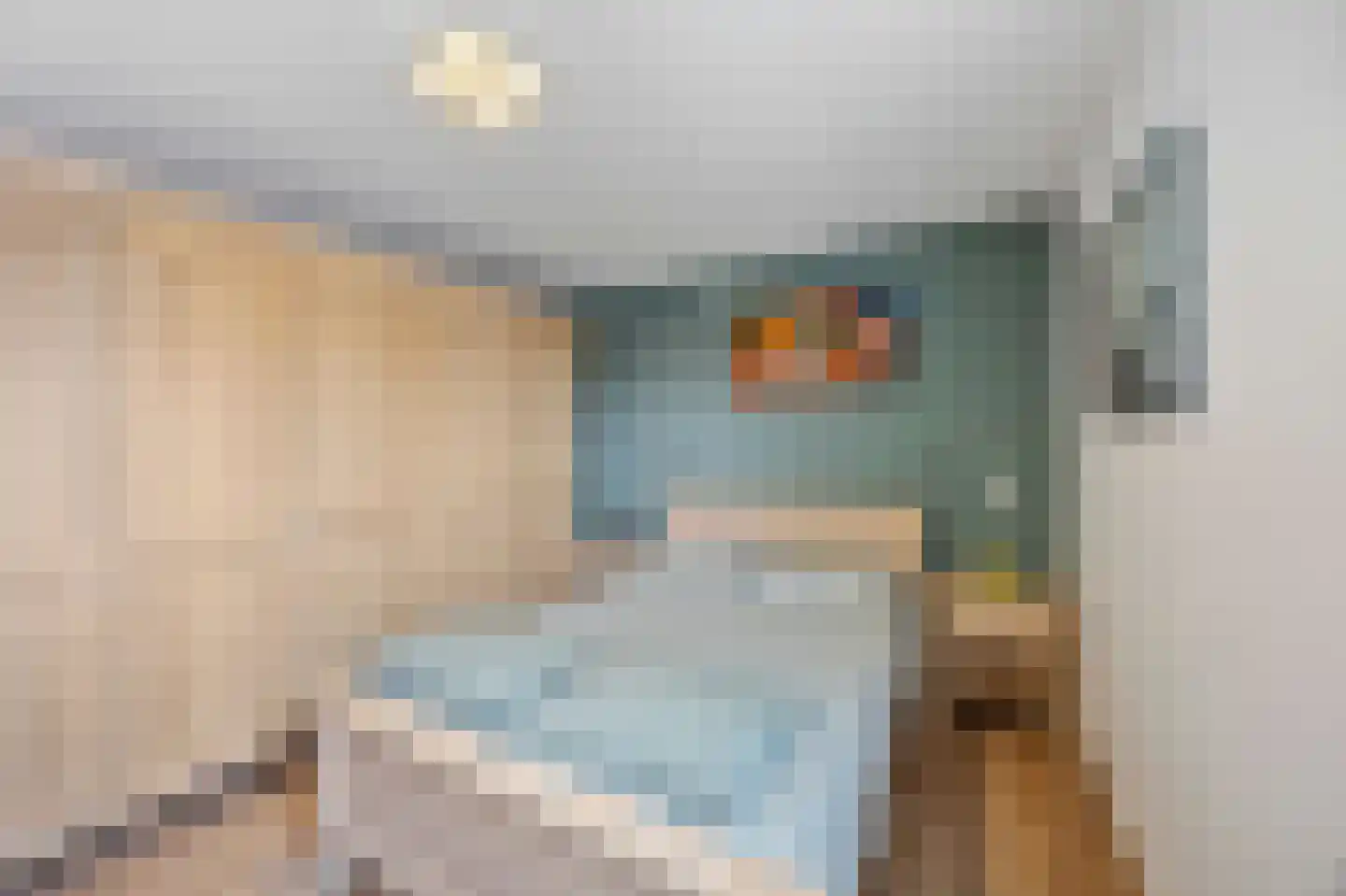 Oudeweg 64 Linne thumbnail 24