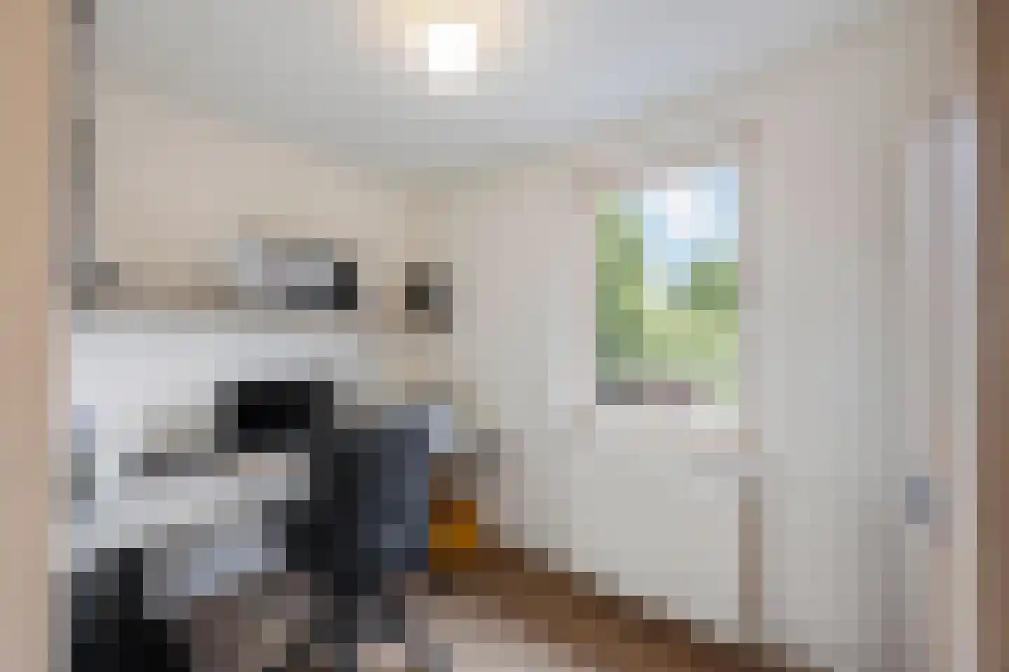Oudeweg 64 Linne thumbnail 25