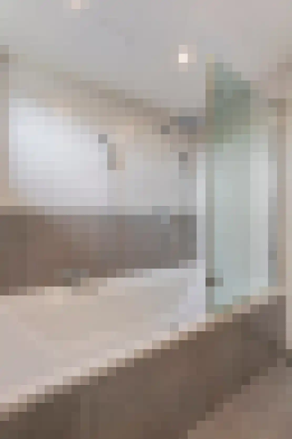 Oudeweg 64 Linne thumbnail 30