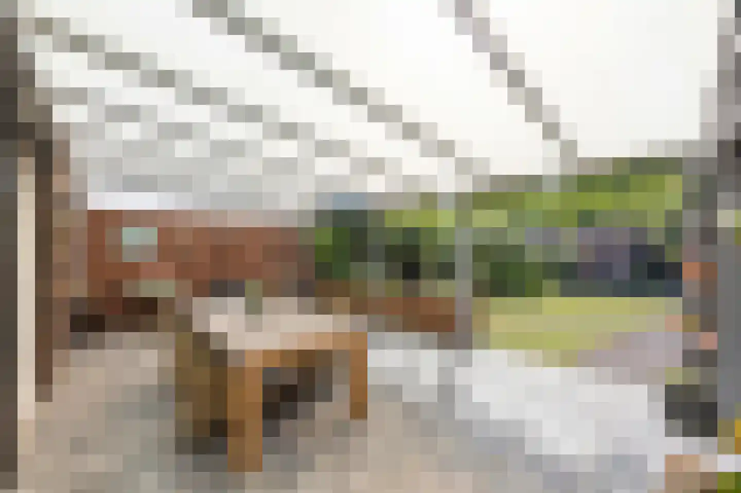Oudeweg 64 Linne thumbnail 36