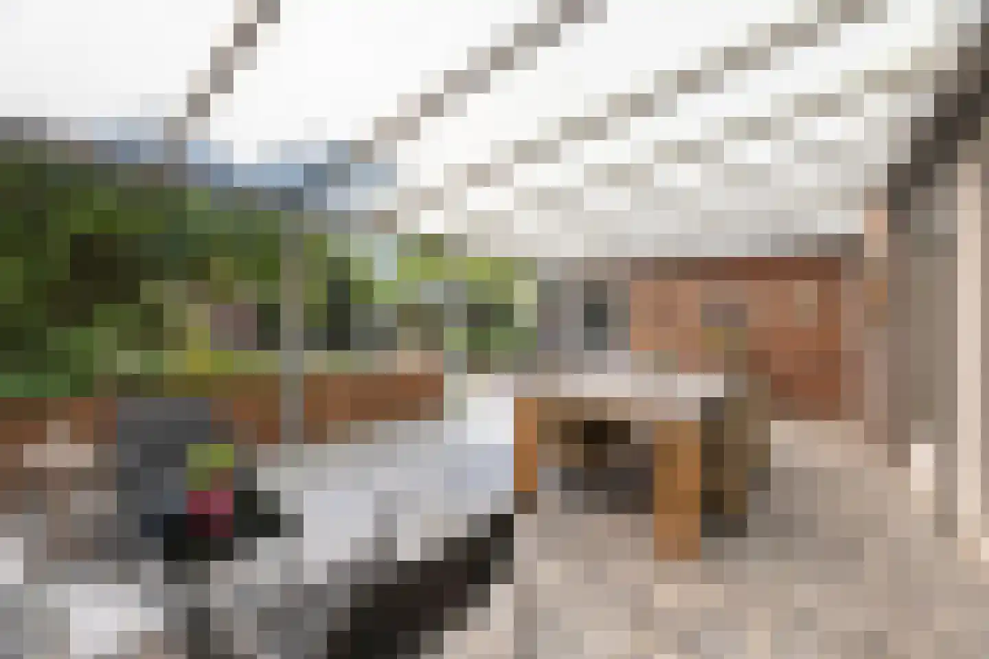 Oudeweg 64 Linne thumbnail 37