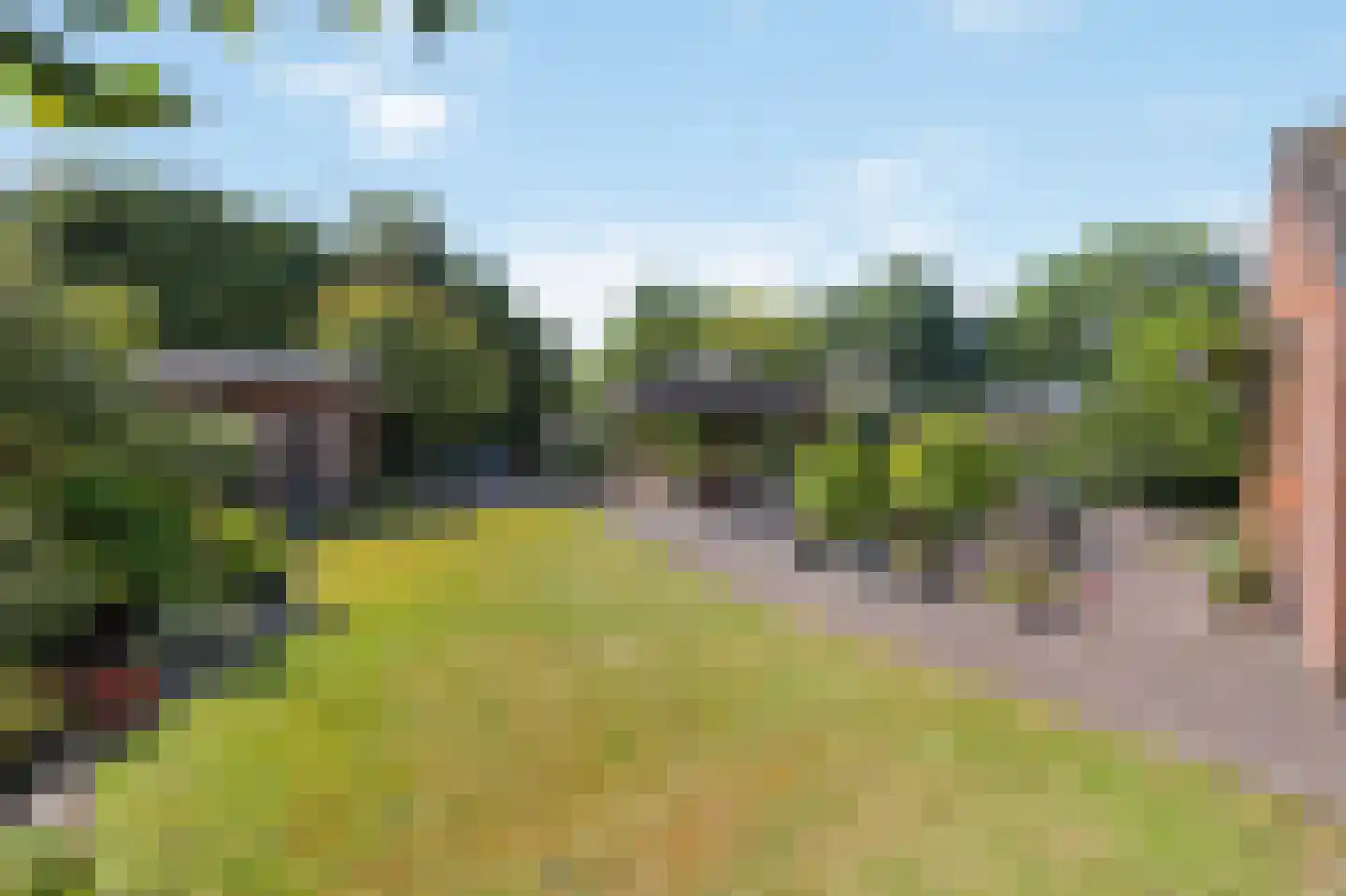 Oudeweg 64 Linne thumbnail 38