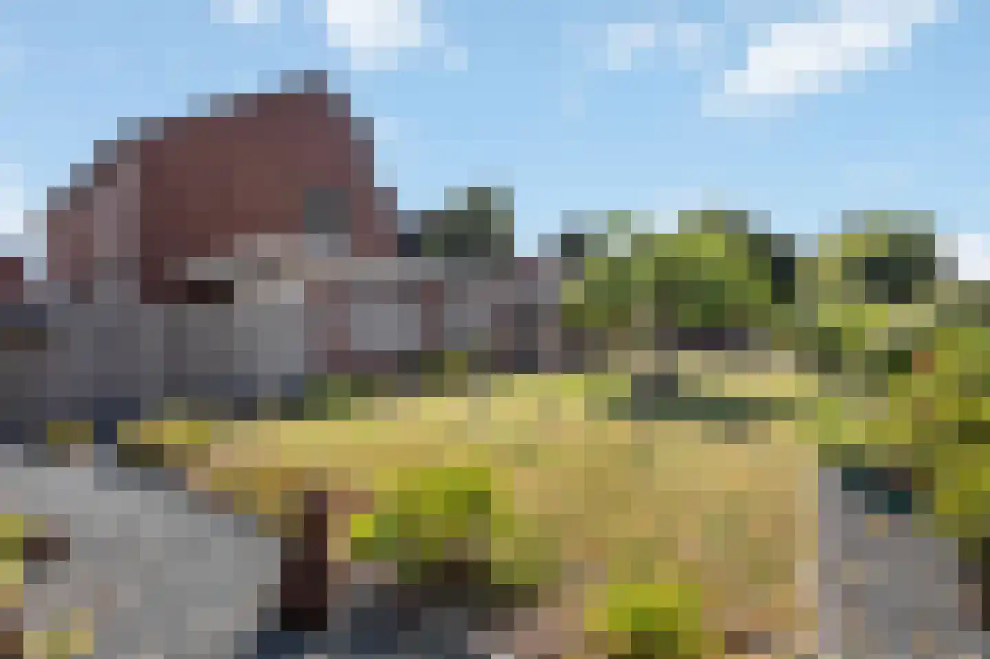 Oudeweg 64 Linne thumbnail 40