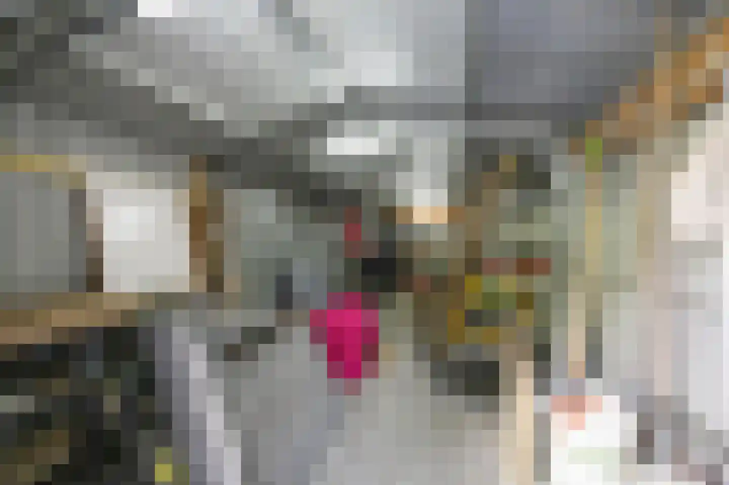 Oudeweg 64 Linne thumbnail 46