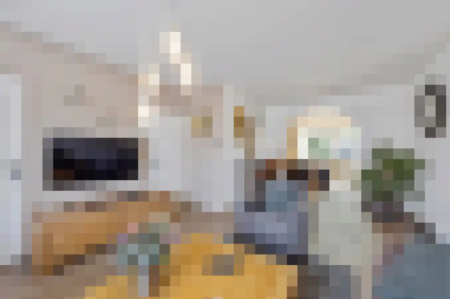 Oudeweg 64 Linne thumbnail 7