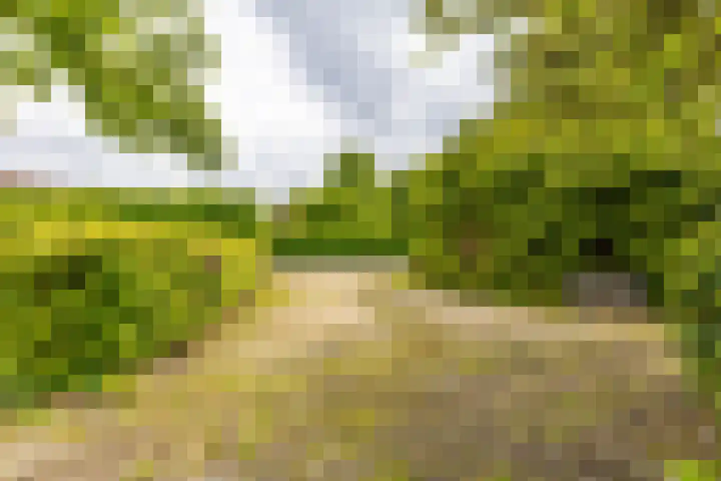 Oudeweg 64 Westerbroek thumbnail 11