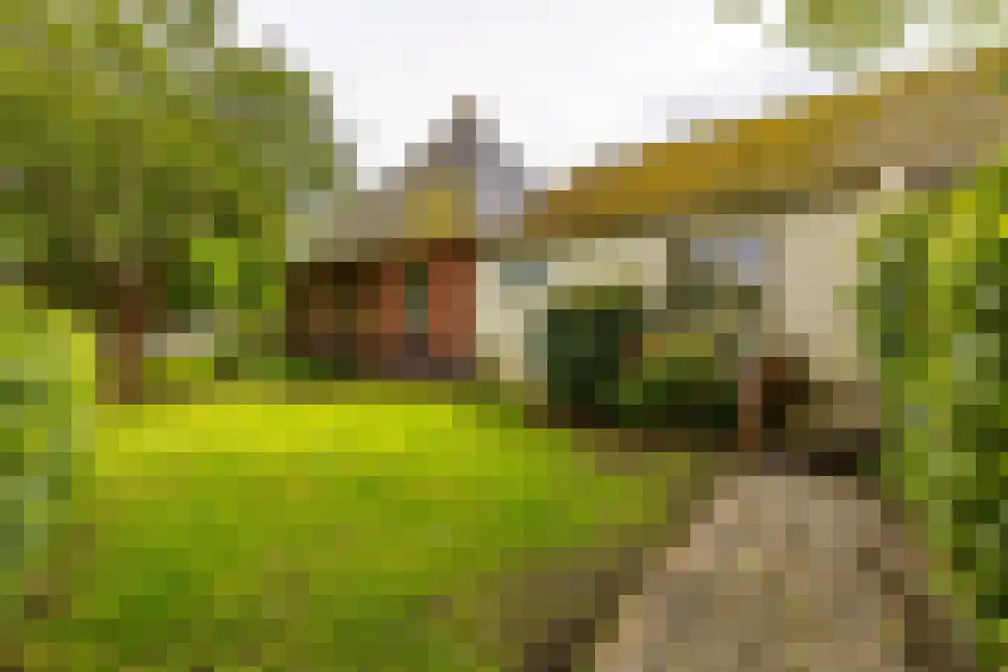 Oudeweg 64 Westerbroek thumbnail 46