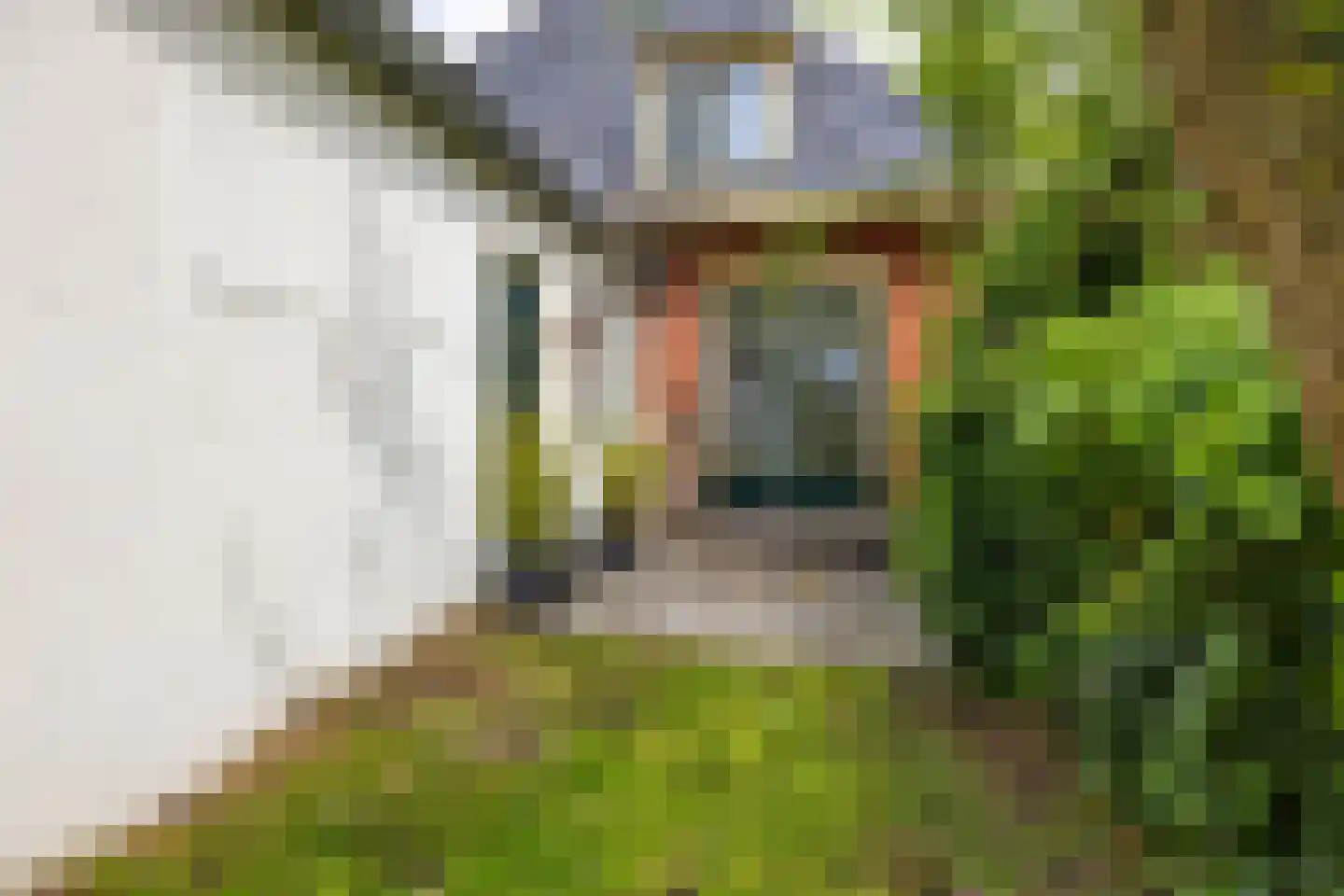 Oudeweg 64 Westerbroek thumbnail 62