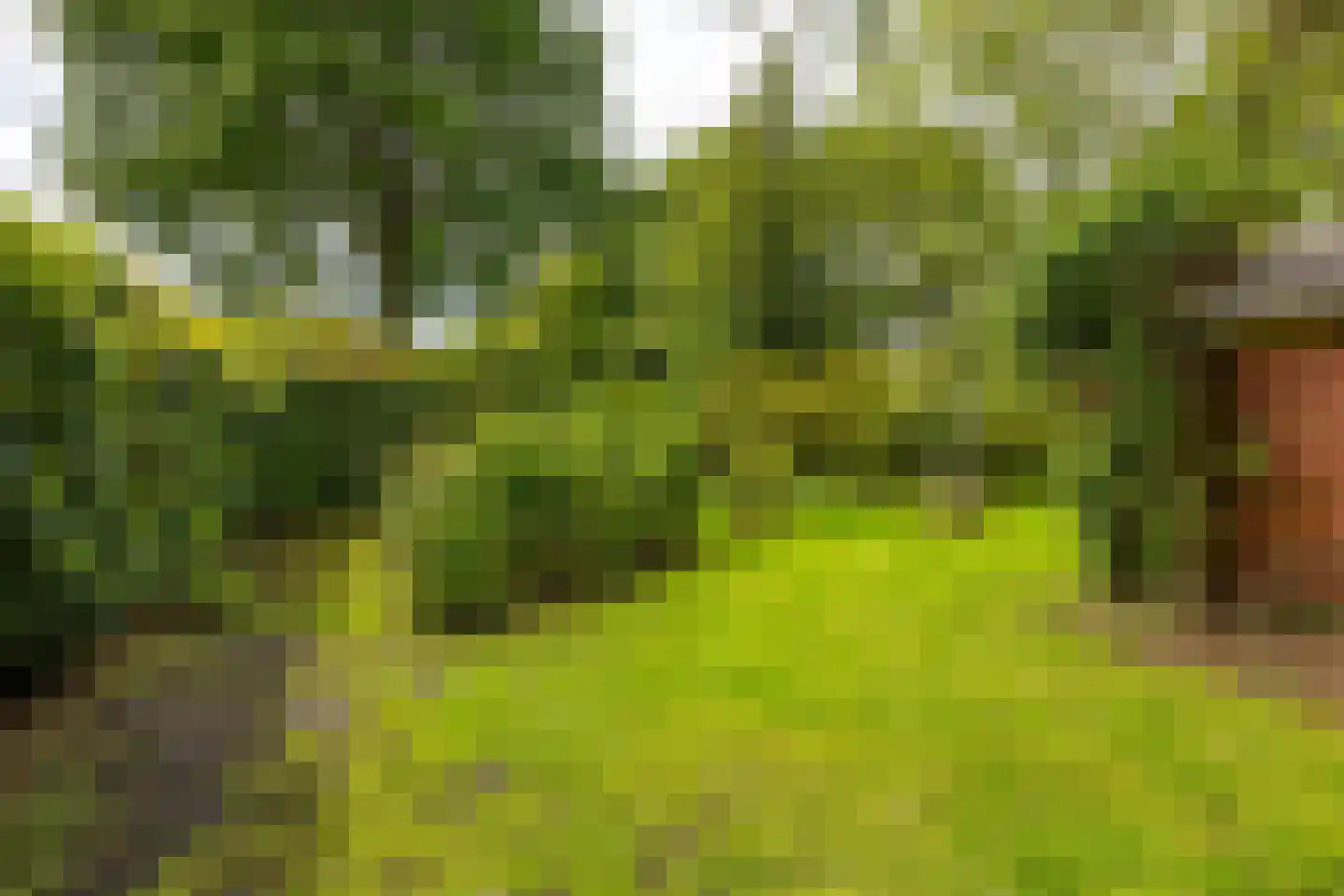 Oudeweg 64 Westerbroek thumbnail 64