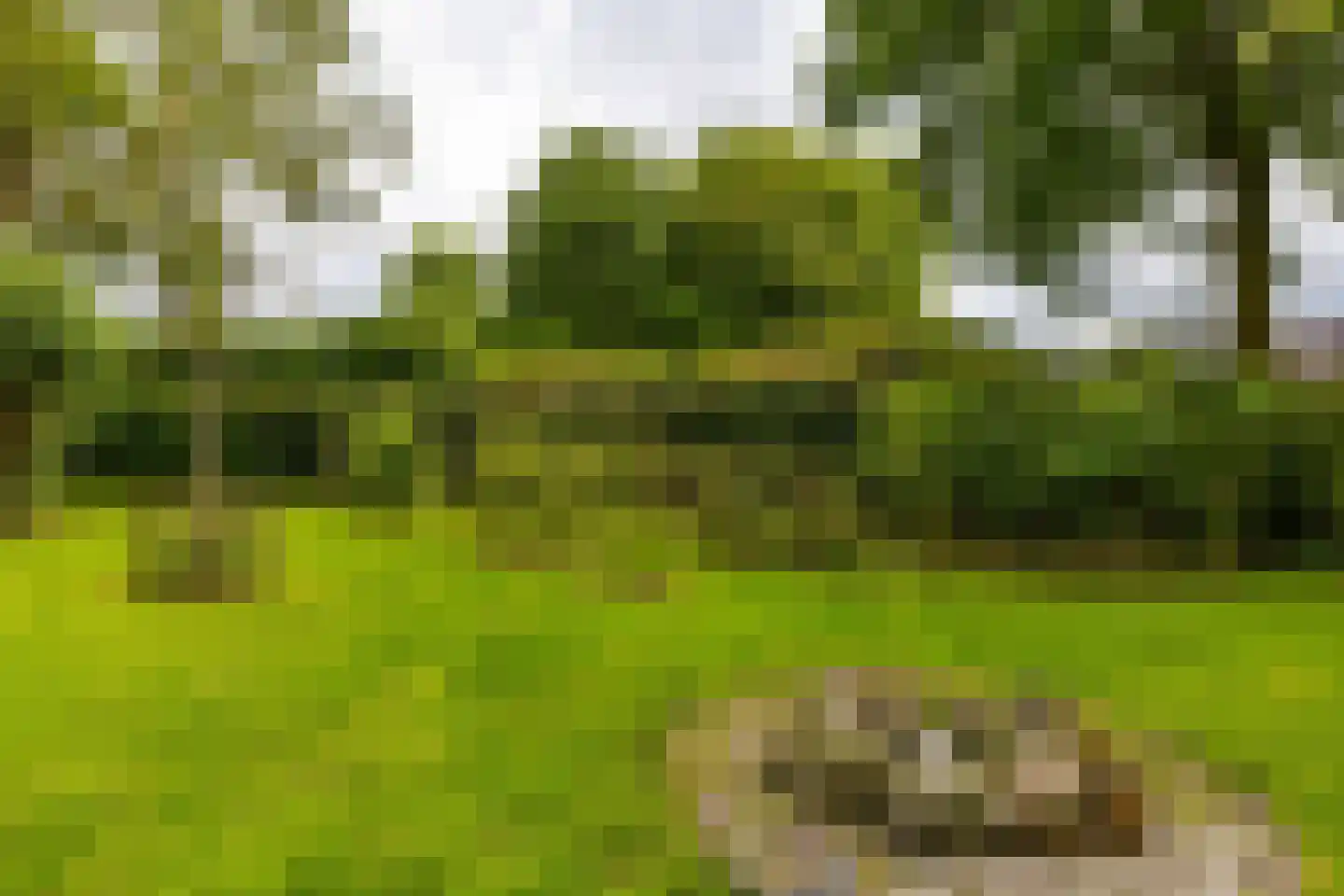 Oudeweg 64 Westerbroek thumbnail 67