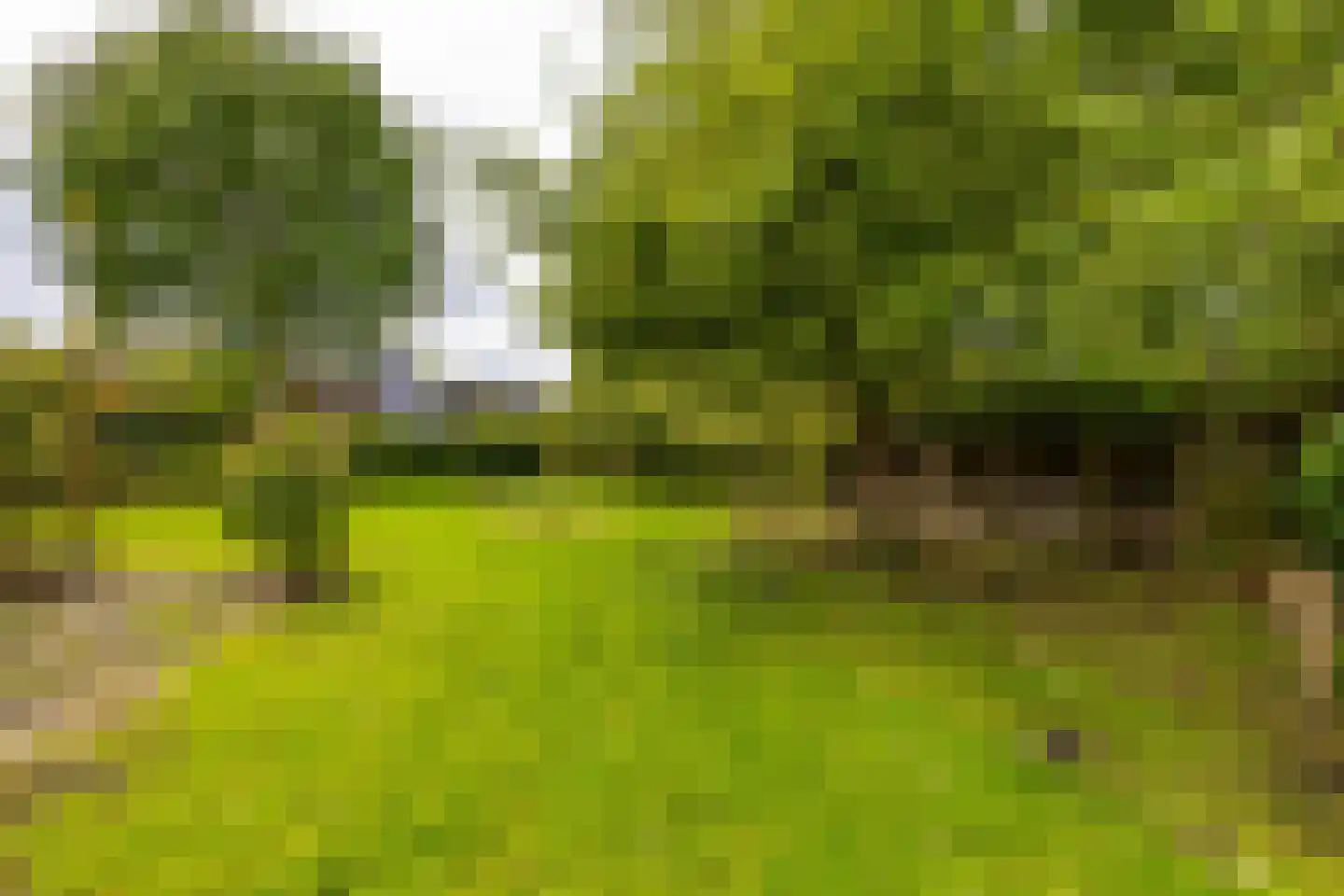 Oudeweg 64 Westerbroek thumbnail 68