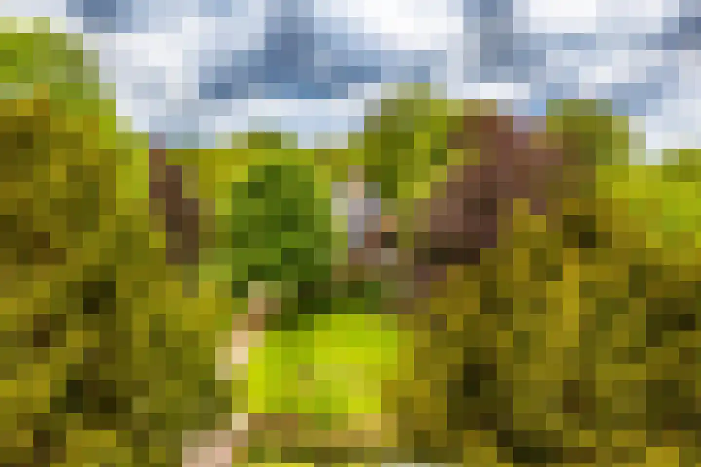 Oudeweg 64 Westerbroek thumbnail 71