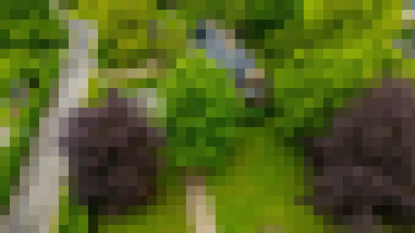 Oudeweg 64 Westerbroek thumbnail 8