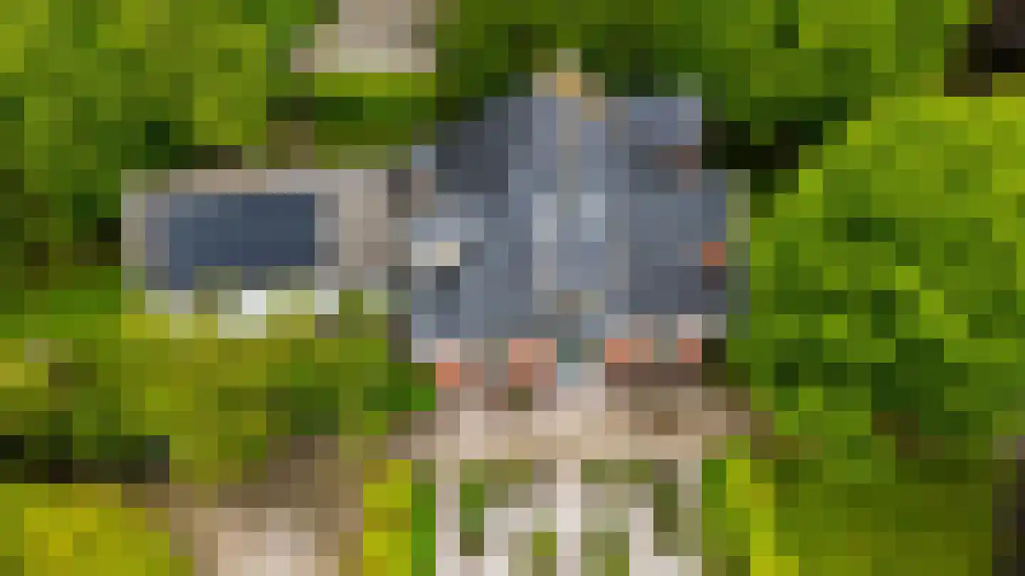 Oudeweg 64 Westerbroek thumbnail 9