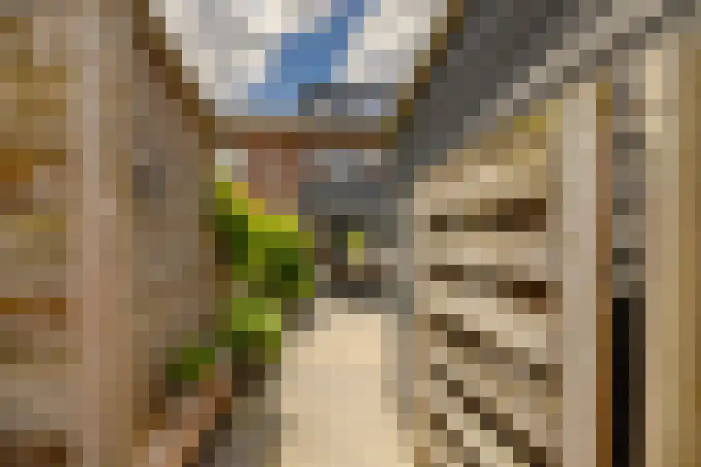 Oudeweg 65 Haarlem thumbnail 22