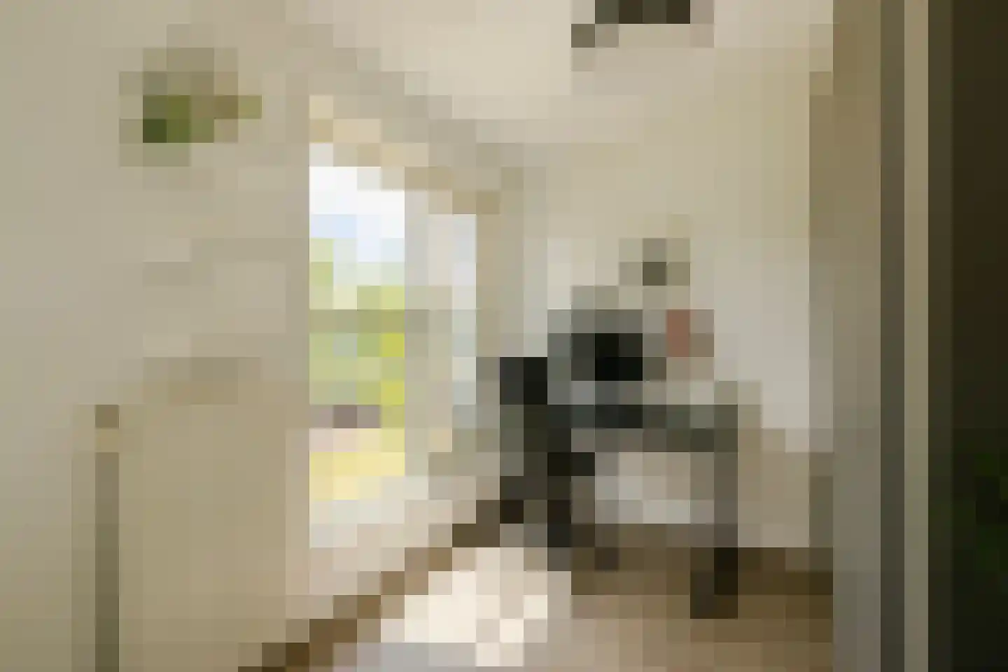 Oudeweg 65 Haarlem thumbnail 34