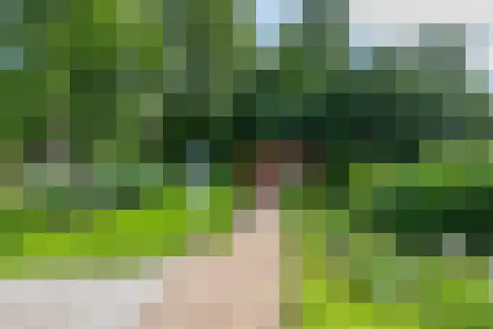 Oudeweg 69 Westerbroek thumbnail 32