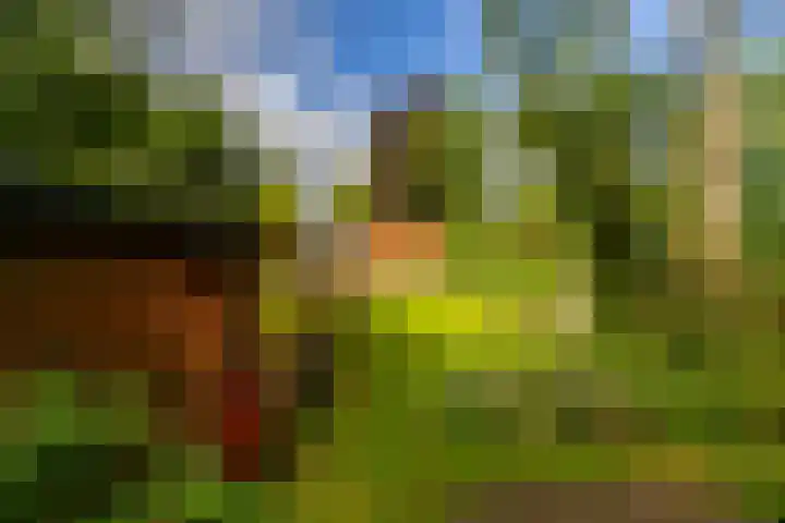 Oudeweg 69 Westerbroek thumbnail 33